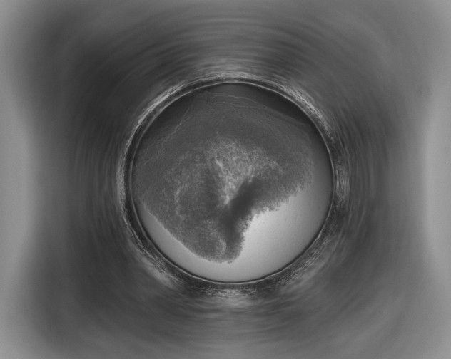 X0000116650390200912211451