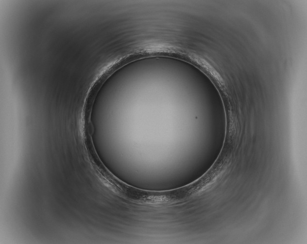 X0000116650391200912211451