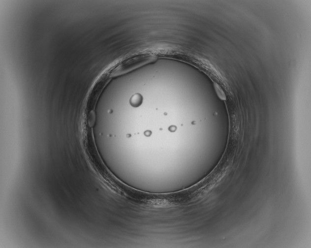 X0000116650392200912211451