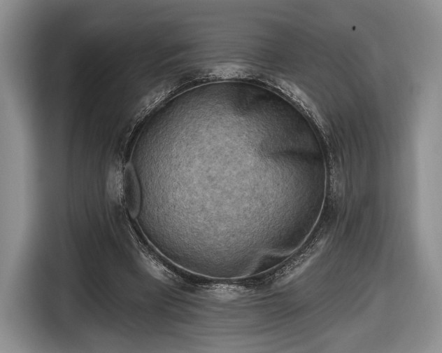 X0000116650393200912211451