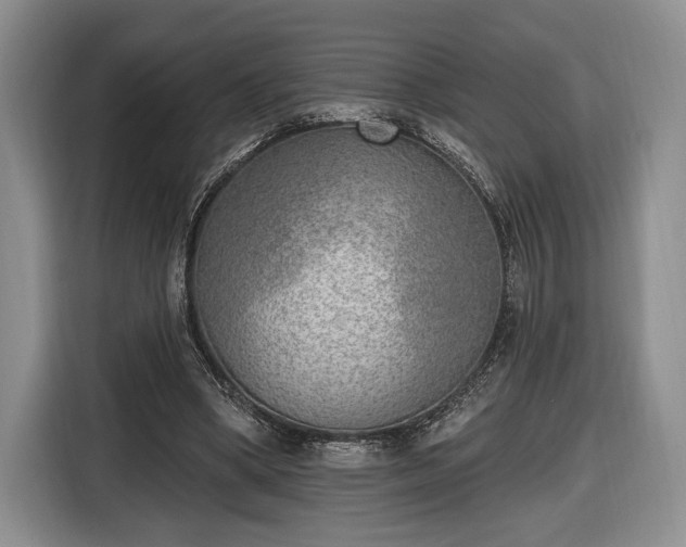 X0000116650394200912211451