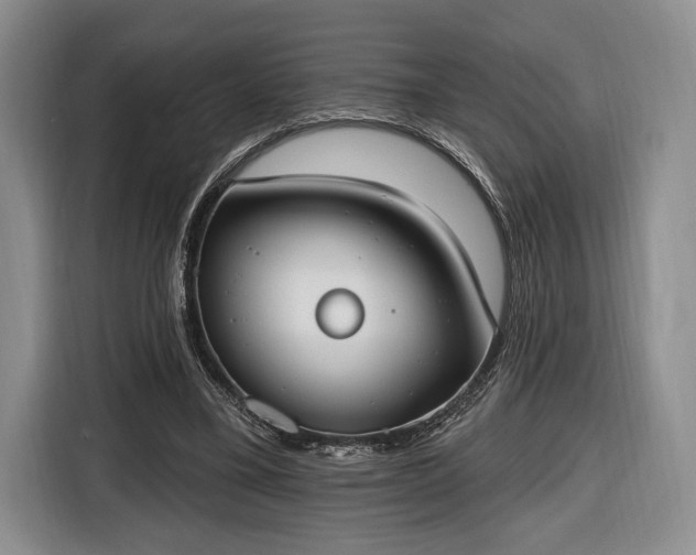 X0000116650395200912211451