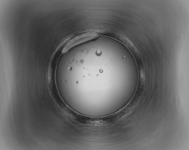 X0000116650396200912211451