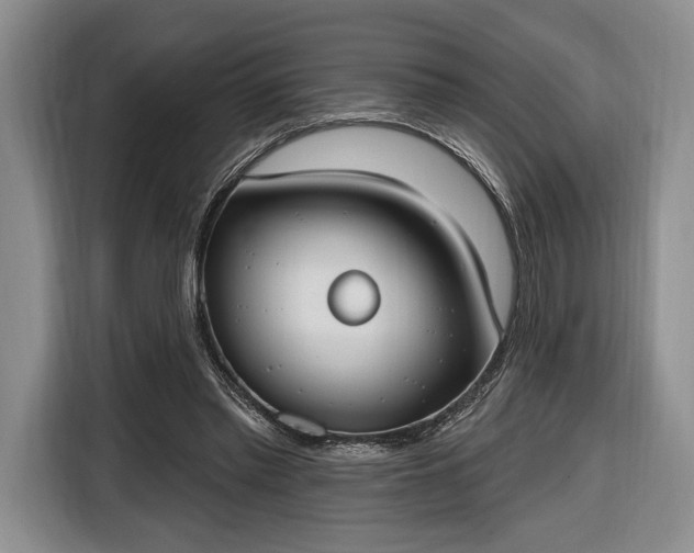 X0000116650397200912211451