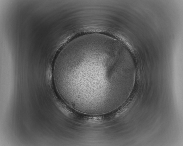 X0000116650398200912211451