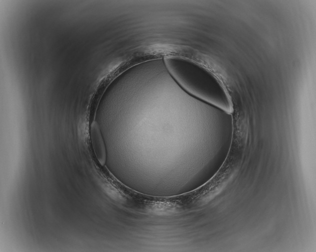 X0000116650399200912211451