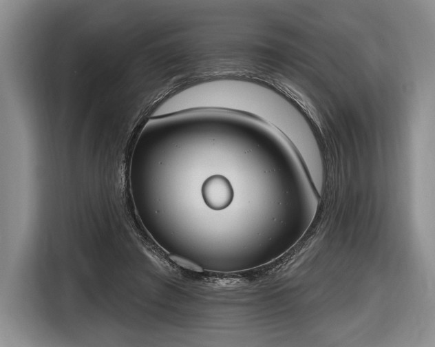 X0000116650401200912211451