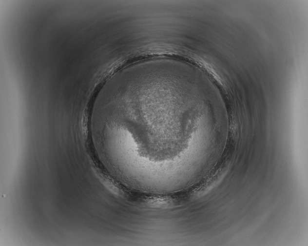 X0000116650402200912211451
