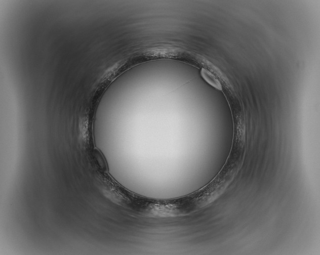 X0000116650403200912211451