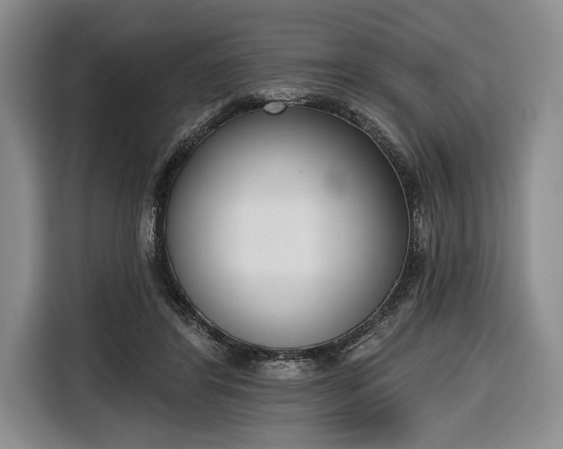 X0000116650404200912211451