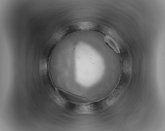 X0000116650405200912211451
