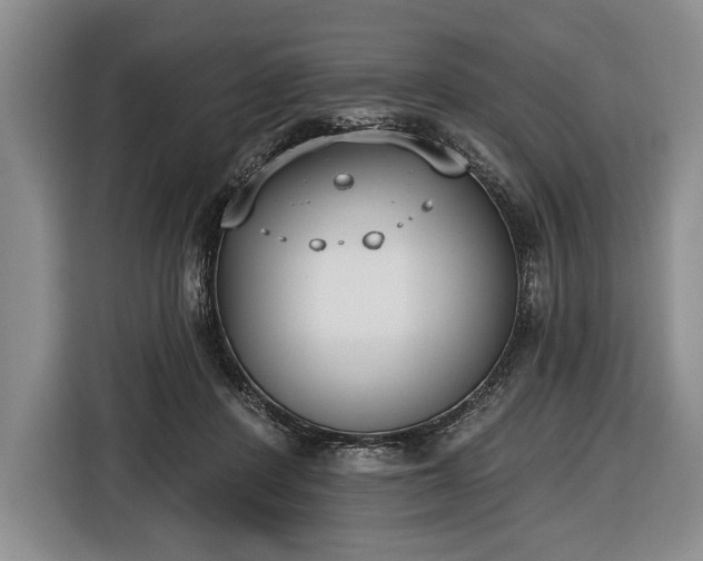 X0000116650408200912211451
