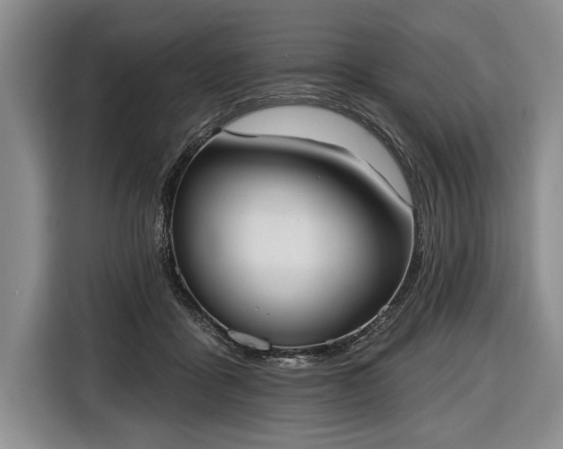 X0000116650411200912211451
