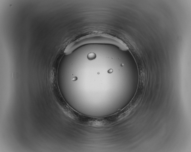 X0000116650412200912211451