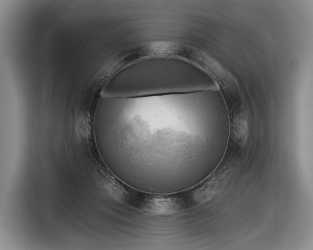X0000116650413200912211451