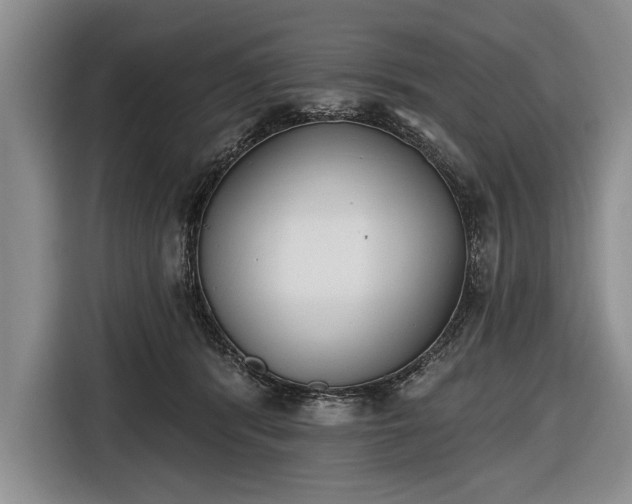 X0000116650416200912211451