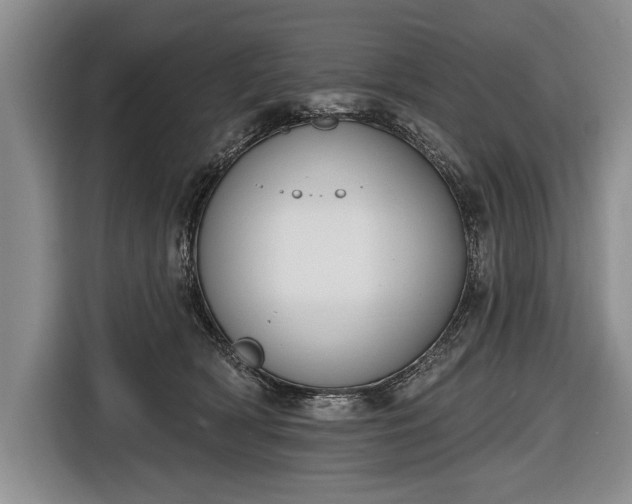 X0000116650418200912211451