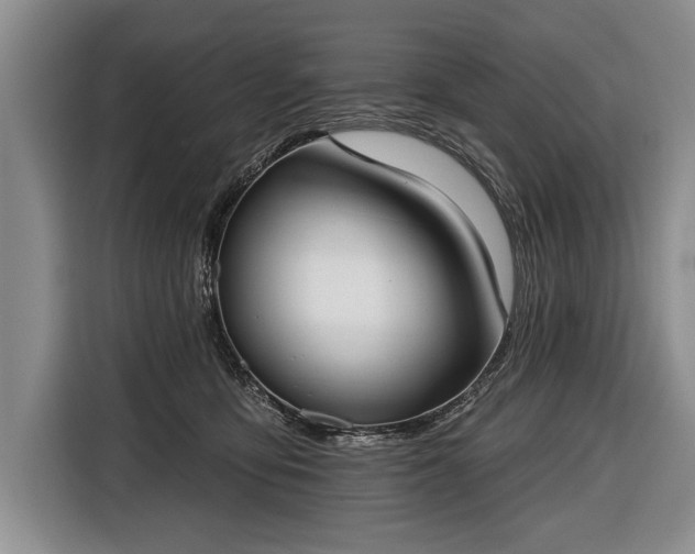 X0000116650419200912211451