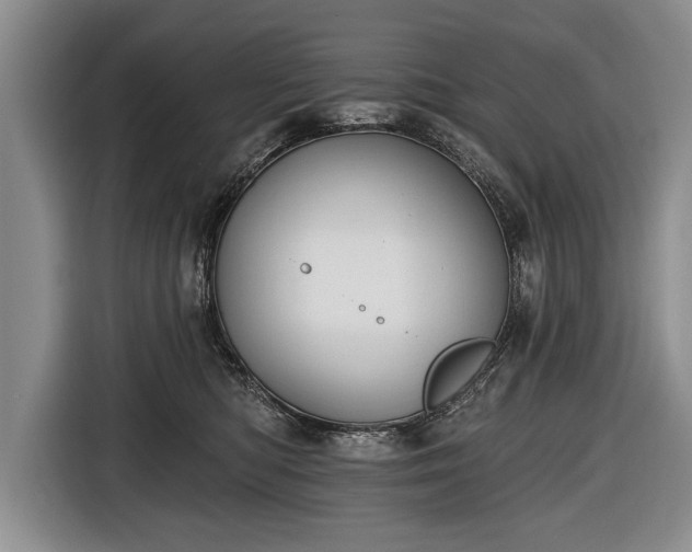 X0000116650422200912211451