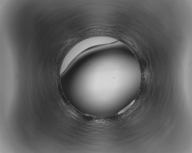 X0000116650423200912211451