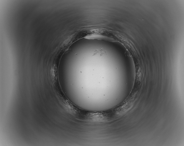 X0000116650424200912211451