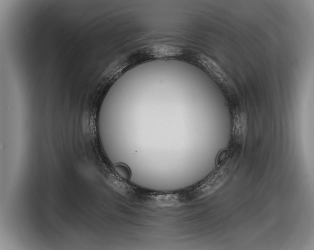 X0000116650426200912211451