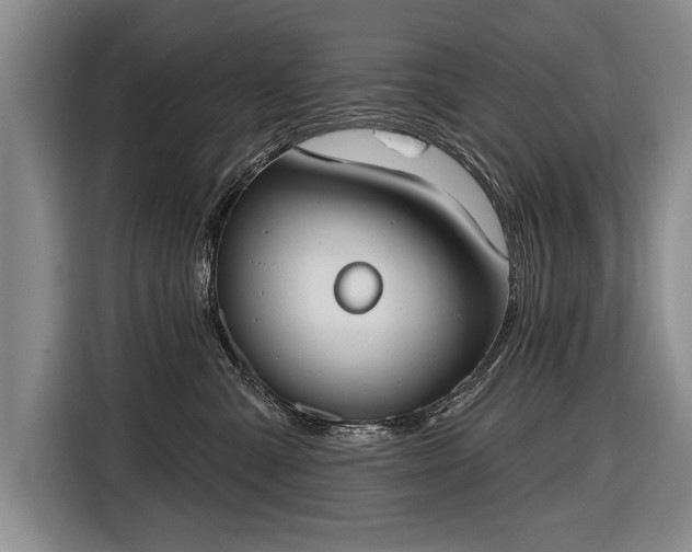 X0000116650427200912211451