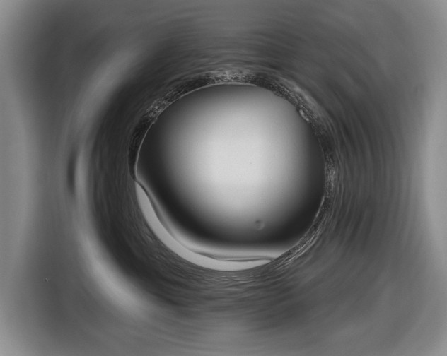 X0000116650429200912211451