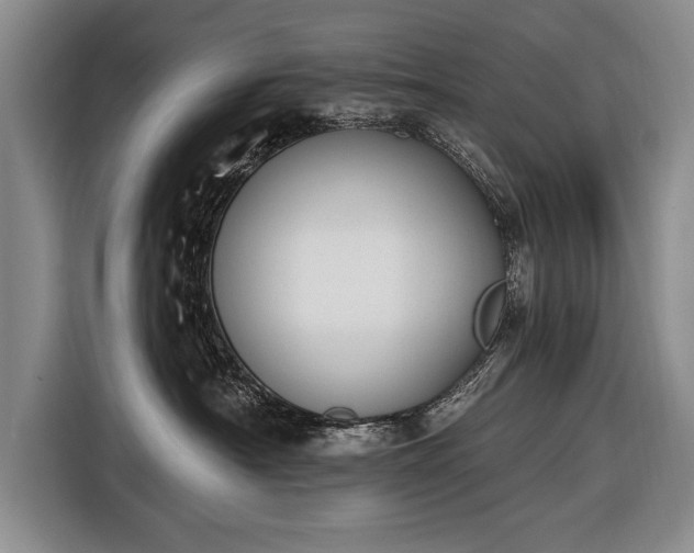 X0000116650430200912211451