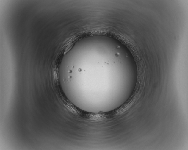 X0000116650432200912211451