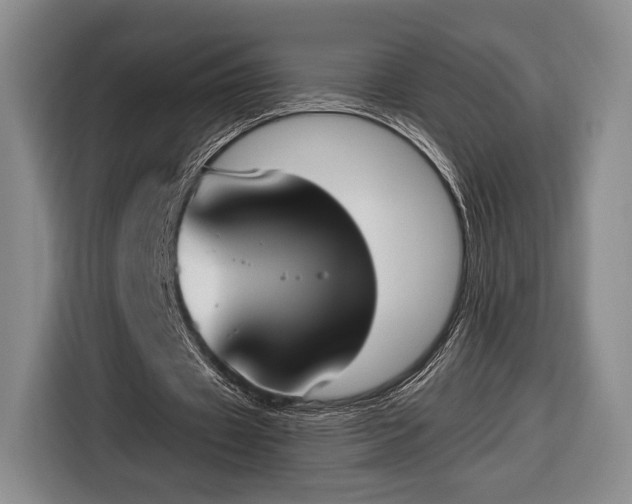 X0000116650433200912211450