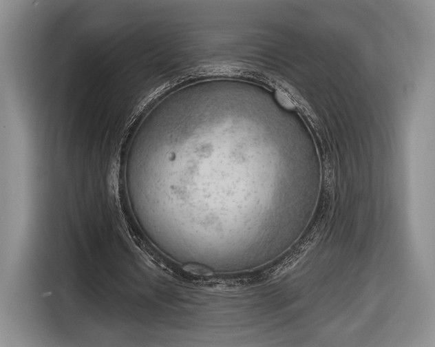 X0000116650434200912211450