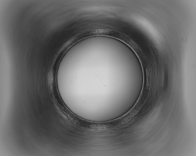 X0000116650435200912211450