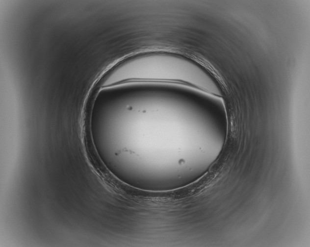 X0000116650436200912211450