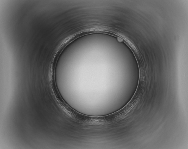 X0000116650437200912211450