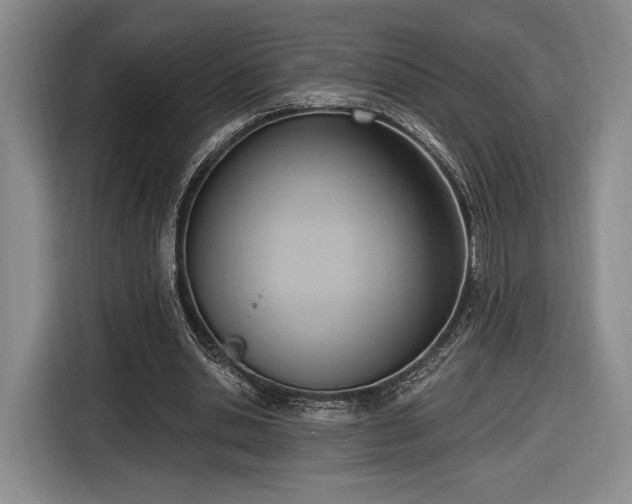 X0000116650438200912211450