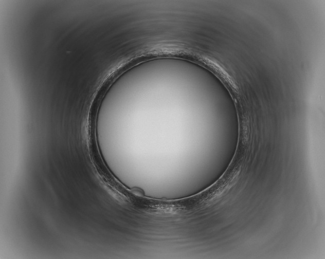 X0000116650439200912211450