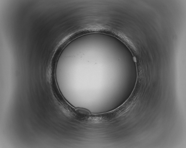 X0000116650440200912211450