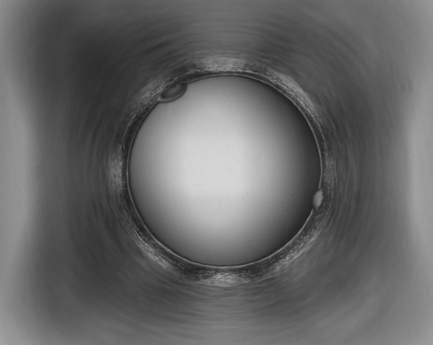X0000116650441200912211450
