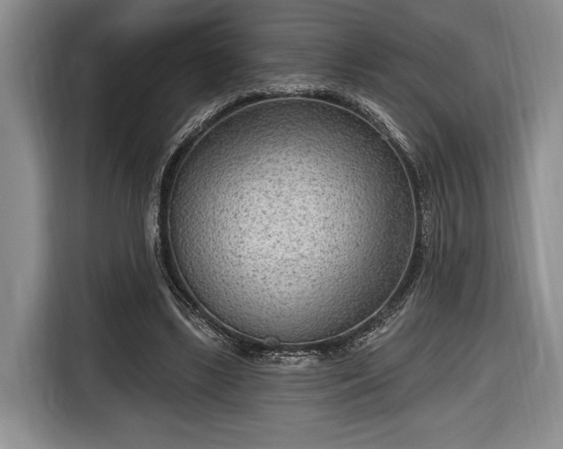 X0000116650443200912211450