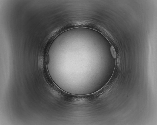 X0000116650444200912211450