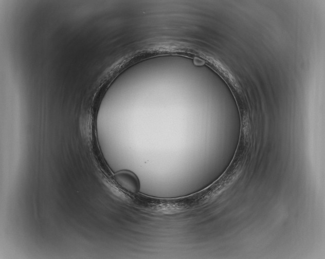 X0000116650445200912211450