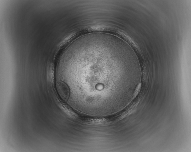 X0000116650446200912211450
