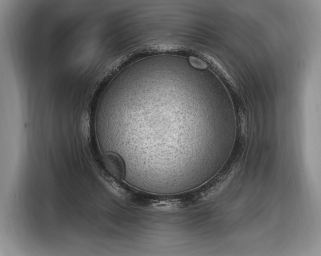 X0000116650447200912211450