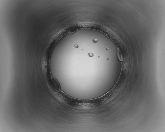 X0000116650448200912211450