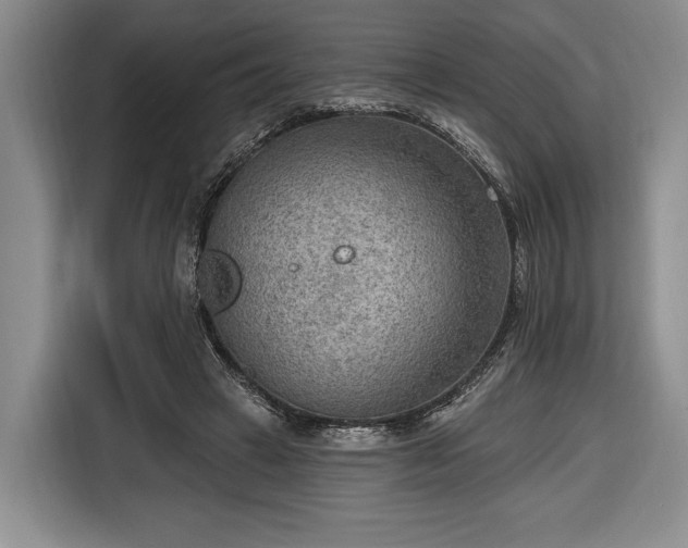 X0000116650449200912211450