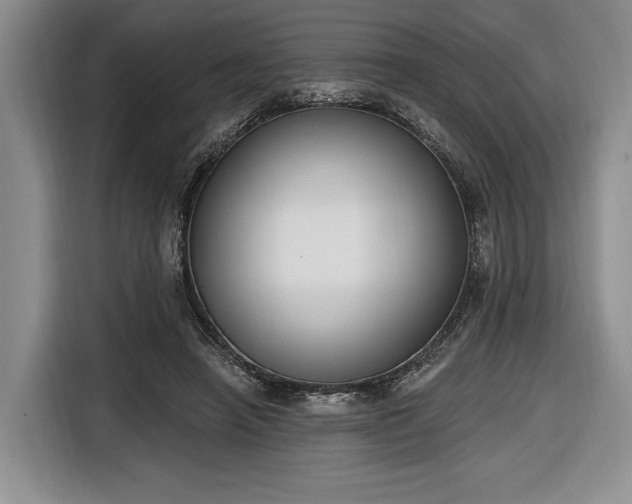 X0000116650450200912211450