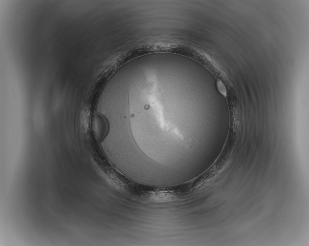X0000116650451200912211450