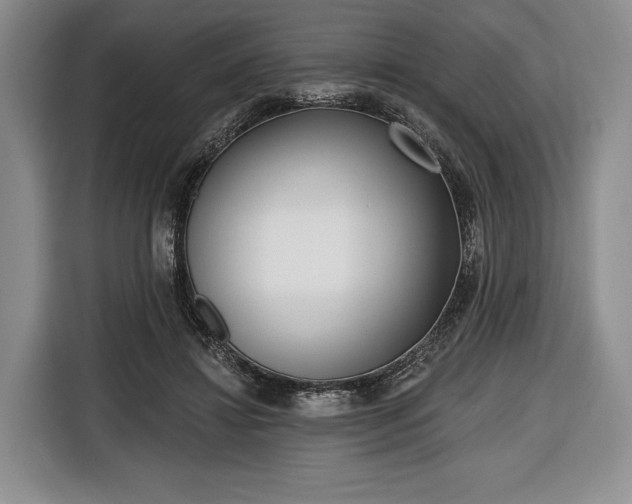 X0000116650452200912211450