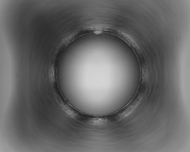 X0000116650453200912211450
